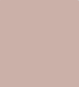 Solid light brown color swatch